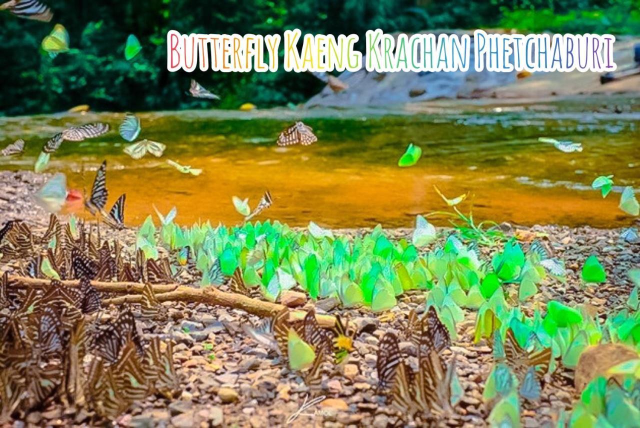 Baan Rai Pray Rung Kaeng Krachan Ban Tha Ling Lom Esterno foto